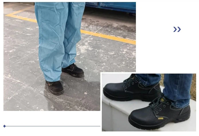 20241008162106 20241008162106